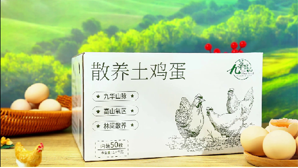 九華粮品散养土鸡蛋50枚 净重4.8斤 新鲜宝宝蛋 自营
